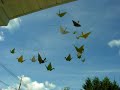 Hanging Origami Mobile