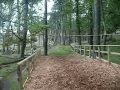 videos de Go Ape @ Margam Park, Wales!!!