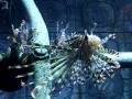 videos de Atlantis Dubai Aquarium - dragon fish