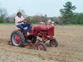 Dog or Tractor? You decide.