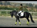 Andrea Vega - Concurso h�pico en \"Mas Cavalls\"