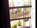 casa teca 1