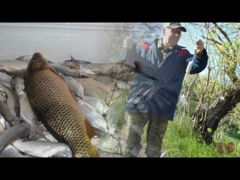 ловля воблы в астрахани весной 2016 год видео большой магой ловля воблы в астрахани весной 2016 год видео большой магой