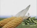 ABC Wants You to Fight Global Warming One Cow at a Time