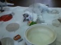 今日は鳥のフィギアでプリンちゃんを釣り上げました？