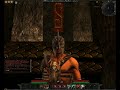 Age of Conan Male Emotes Age of Conan Male Emotes