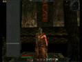 Age of Conan Male Emotes