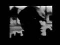 Sunshine-Woman