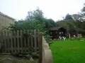 Dog Jumping Fence