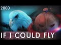 If-I-could-fly