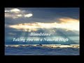 natural high - 1972 bloodstone