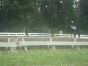 Reprise B concours dressage