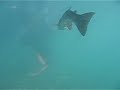 Diving in Capernwray Diving in Capernwray