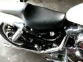 videos de 2001 1200 Sportster