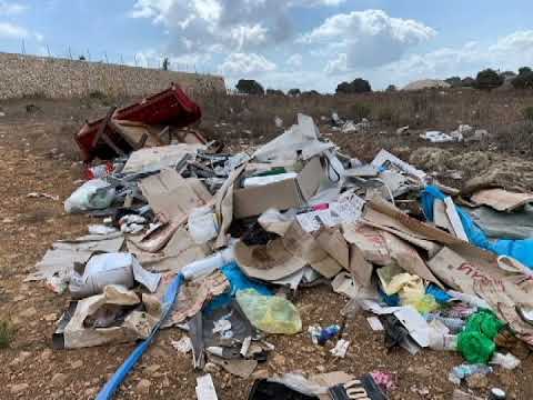 הפנים הלא יפות של דאלית אל כרמל