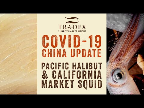 3MMI - COVID-19 China Update, Pacific Halibut Update, 2020 Market Squid Fishery