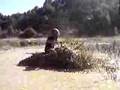 quad-flip-locurafilm