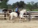 Al galope con carbonera