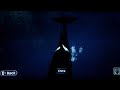 Endless Ocean - Killer Whale Endless Ocean - Killer Whale