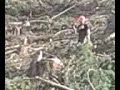 Click here to watch this video Logging on Granstrom Road part 9