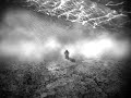 sui generis umbra - ashes (my obsession) sui generis umbra - ashes (my obsession)