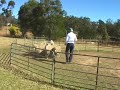 Breaker Herding