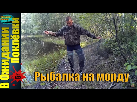 рыбалка верши линь рыбалка верши линь