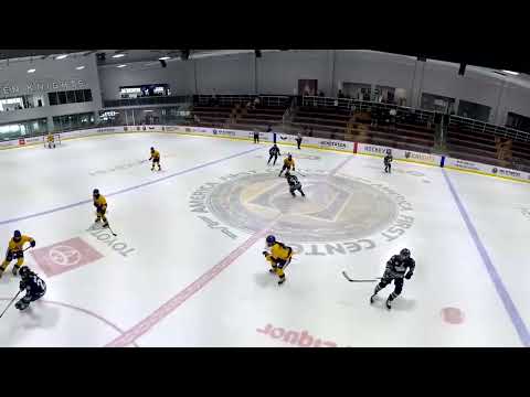 Shifts vs LA Lions 2/22/25 Blue Jersey Left D #55