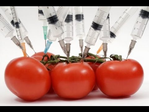 Genetically Modified Food Label Initiative Failing - Why?