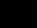 Duck alone in the dark