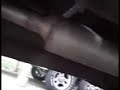 My exhaust