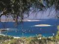 Foca Turkey: The land of our fathers