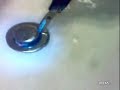 Picadura de Araña