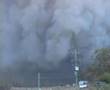 Bushfire-Forest-Fire