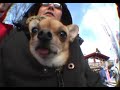 Flottsbro h�gdalen Snowboard