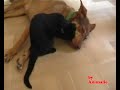 Una mamma speciale