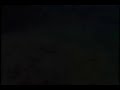 Barton Springs Underwater Footage