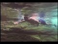Barton Springs Underwater Footage