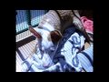 tano mi podenco!!!!!!!