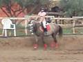 videos de nono ♥moii //  l'etalon et qoqo(!)