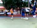 videos de cangurus do wilson joffre