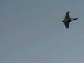 A real fun jet jet edf