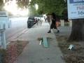 sitting skate board mini stunt