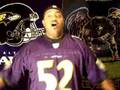 Ravens-on-Cam-2007-0