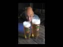 videos de Roger's Offbeat Europe.mov