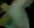 pinche cepi