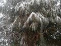 New Orleans snow 081211 (1)