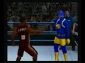 MWL Brawl Show13: Part 5