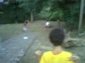 videos de Trattore impazzito