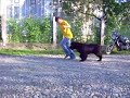 Cool 6 months old movement video Cool 6 months old movement video